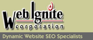 Dynamic Website Visibility Specialists - Web Ignite Corporation